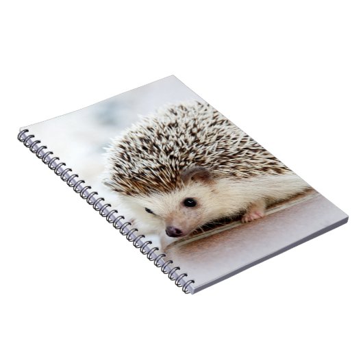 Carnet Hérisson mignon de bébé (Côté Droit)