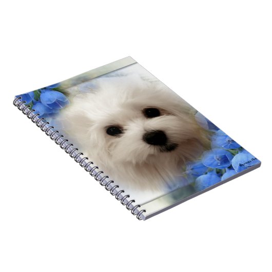 Carnet Hermes le maltais (Côté Droit)