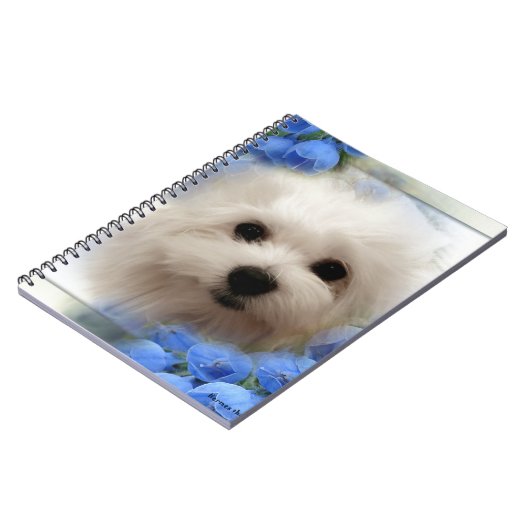 Carnet Hermes le maltais (Côté gauche)