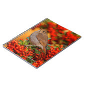 Carnet Hermite Thrush Songbird sur araignée de feu (Côté gauche)