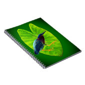 Carnet héron vert (Côté Droit)
