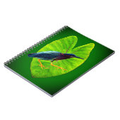 Carnet héron vert (Côté gauche)