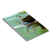 Carnet Hérons (Côté Droit)