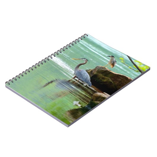 Carnet Hérons (Côté gauche)