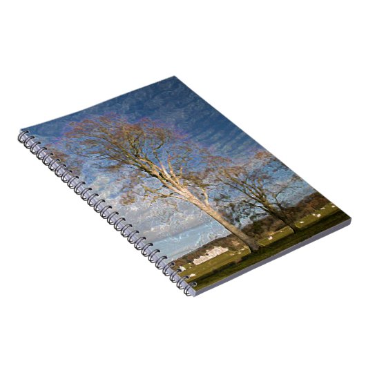 Carnet Hêtre irlandais (Côté Droit)