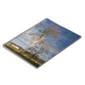 Carnet Hêtre irlandais (Côté gauche)