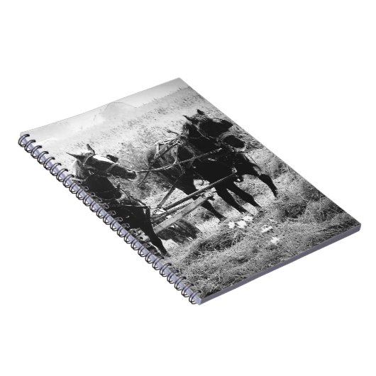 Carnet Heure de péage en noir et blanc (Côté Droit)