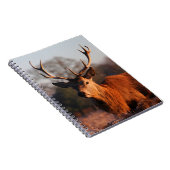 CARNET HI DEER (Côté Droit)