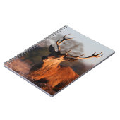 CARNET HI DEER (Côté gauche)