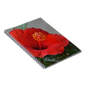 Carnet Hibiscus (Côté Droit)