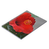 Carnet Hibiscus (Côté gauche)