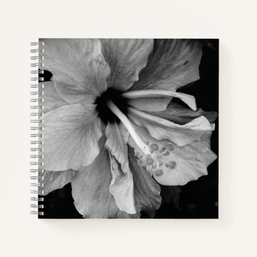 Carnet Hibiscus (Devant)