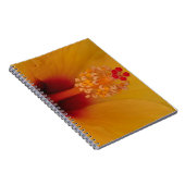 Carnet Hibiscus (Côté Droit)