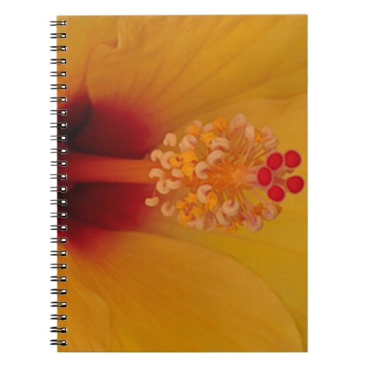 Carnet Hibiscus (Devant)