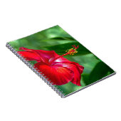 Carnet Hibiscus Blossom (Côté Droit)