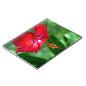 Carnet Hibiscus Blossom (Côté gauche)