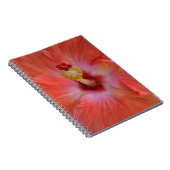 Carnet Hibiscus d'Orange (Côté Droit)