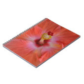 Carnet Hibiscus d'Orange (Côté gauche)