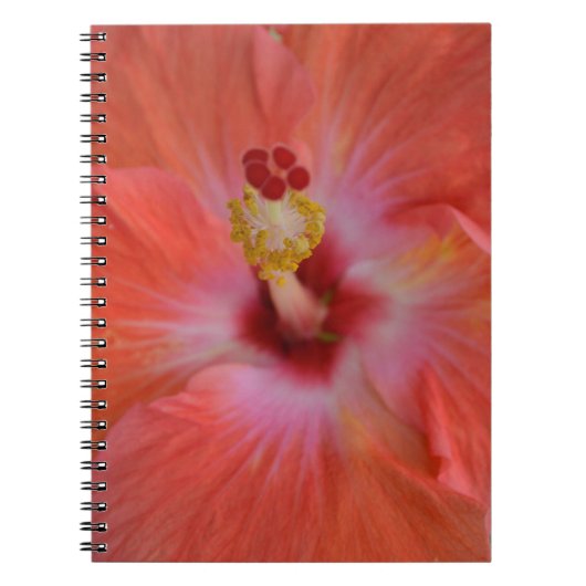 Carnet Hibiscus d'Orange (Devant)
