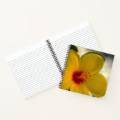 Carnet Hibiscus jaune (Intérieur)