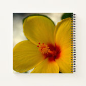 Carnet Hibiscus jaune (Dos)