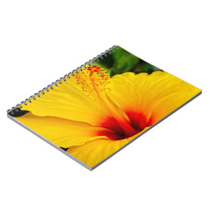 Carnet Hibiscus jaune vif