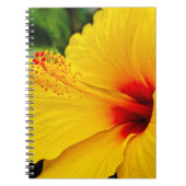 Carnet Hibiscus jaune vif (Devant)