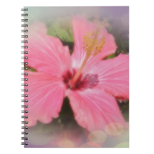 Carnet Hibiscus rose (Devant)