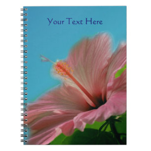 Carnet Hibiscus rose nature