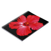 Carnet Hibiscus rouge (Côté gauche)