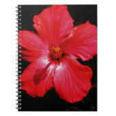 Carnet Hibiscus rouge (Devant)