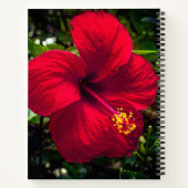 carnet "Hibiscus rouge" (Dos)