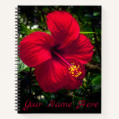 carnet "Hibiscus rouge" (Devant)