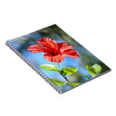 Carnet Hibiscus rouge (Côté Droit)