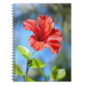 Carnet Hibiscus rouge (Devant)
