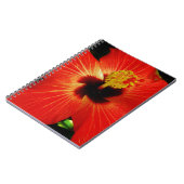 Carnet Hibiscus rouge (Côté gauche)