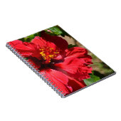 Carnet Hibiscus rouge (Côté Droit)