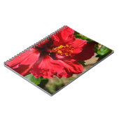 Carnet Hibiscus rouge (Côté gauche)