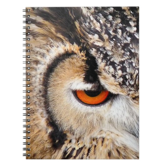 CARNET HIBOU (Devant)