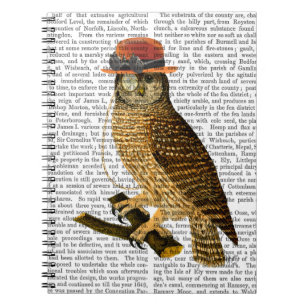 Carnet Hibou avec le casquette de lanceur de style de