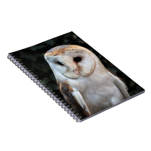 Carnet Hibou de grange blanc (Côté Droit)