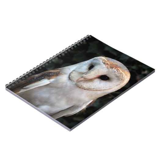 Carnet Hibou de grange blanc (Côté gauche)