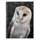 Carnet Hibou de grange blanc (Devant)