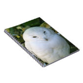 Carnet Hibou des neiges (Côté Droit)