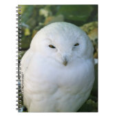 Carnet Hibou des neiges (Devant)