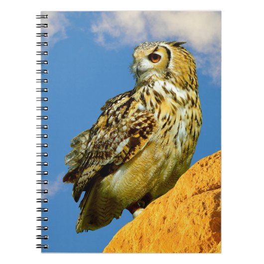 Carnet Hibou grand-duc eurasien (Devant)