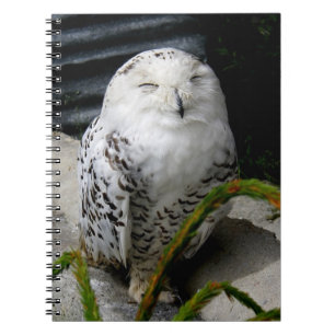 Carnet Hibou mignon de Milou