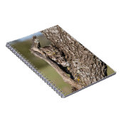 Carnet Hibou petit-duc (Côté Droit)
