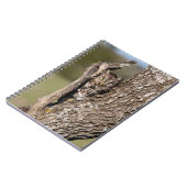 Carnet Hibou petit-duc (Côté gauche)