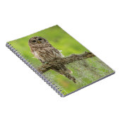 Carnet Hibou rayé sur branche d'arbre (Côté Droit)